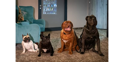 Hundehotel - Trink-/Fressnapf: im Zimmer - Westpommern - Akceptujemy psy każdego rozmiaru. 
Oto psia rodzina Maxa. - Max Health Resort Spa