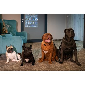 Urlaub-mit-Hund: Akceptujemy psy każdego rozmiaru. 
Oto psia rodzina Maxa. - Max Health Resort Spa