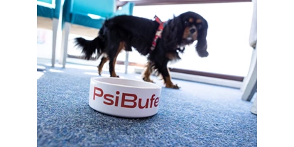 Hundehotel - Trink-/Fressnapf: im Zimmer - Westpommern - Max Health Resort Spa