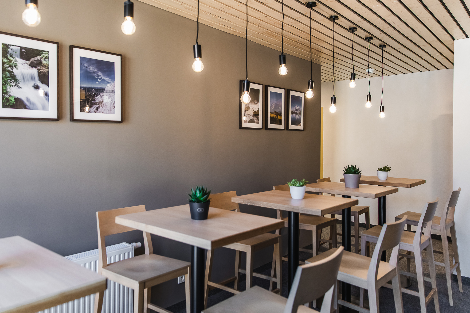 Hundehotel - Preisniveau: moderat - Schladming - JUFA Hotel Schladming***