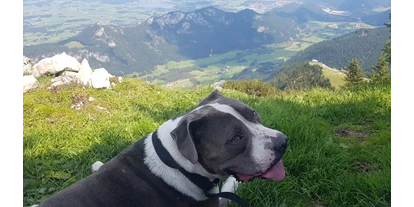 Hundehotel - Wäschewechsel - Jungholz - Das tolle Panorame in den Allgäuer Bergen zusammen mit den geliebten eigenen Hunden erleben, abgesicherte Bergfahrten mit geschlossenen Kabinenbahnen zu unvergesslichen Urlaubsstunden, versprochen. - GRAND APARTMENT ALLGAEU . max 12 Pers 130 qm Ferienhaus FeWo Kinder Hunde 800 qm Garten eingezaeunt