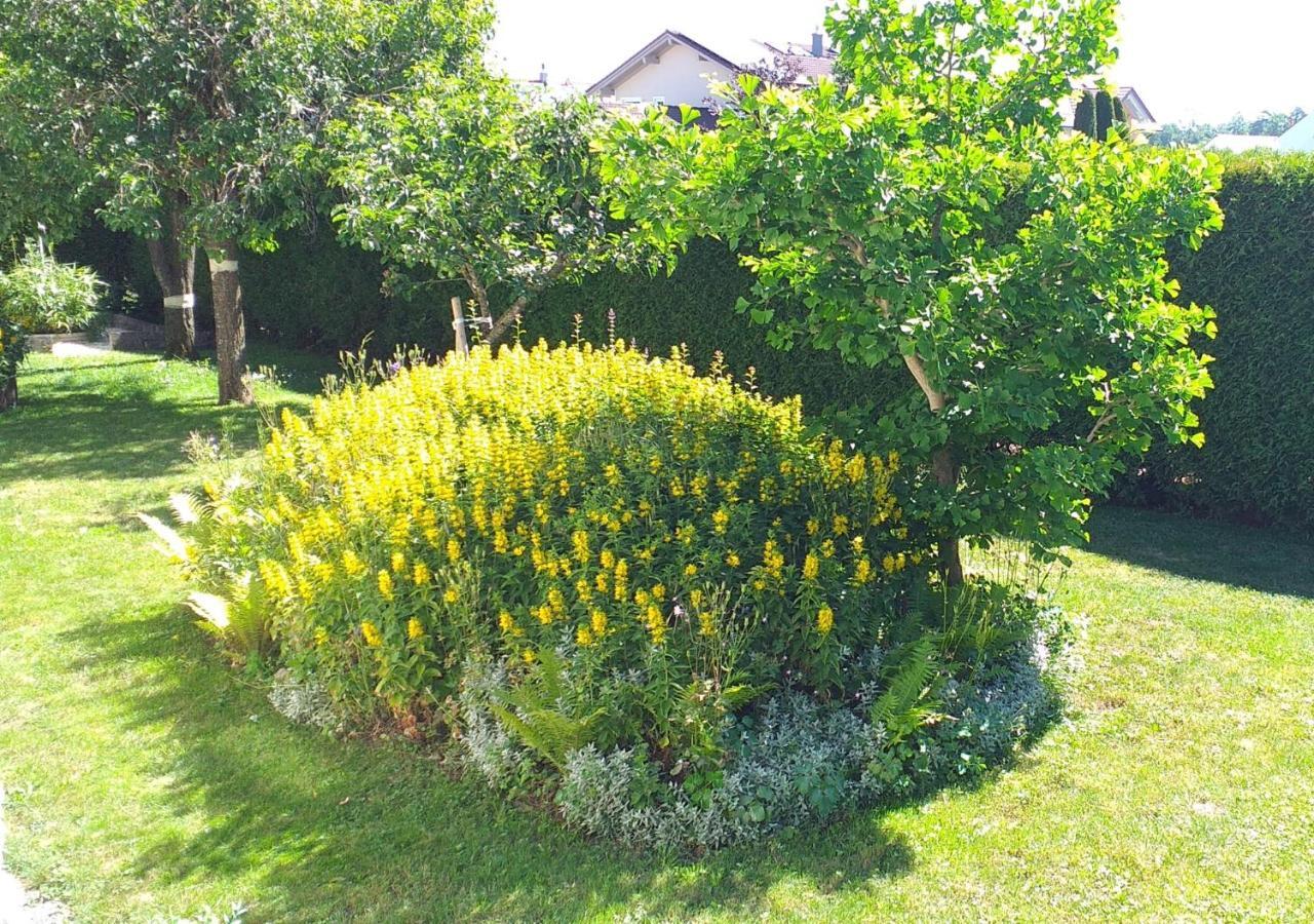 Ferienhaus mit Hund: GRAND APARTMENT ALLGAEU . max 12 Pers 130 qm Ferienhaus FeWo Kinder Hunde 800 qm Garten eingezaeunt