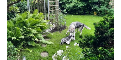 Hundehotel - Wäschewechsel - Jungholz - GRAND APARTMENT ALLGAEU . max 12 Pers 130 qm Ferienhaus FeWo Kinder Hunde 800 qm Garten eingezaeunt