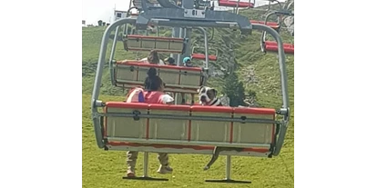 Hundehotel - Wäschewechsel - Jungholz - Berge Wandern zur "Ostlerhütte" auf dem "Breitenberg" via der Bergbahn mit festem Schuhwerk! - GRAND APARTMENT ALLGAEU . max 12 Pers 130 qm Ferienhaus FeWo Kinder Hunde 800 qm Garten eingezaeunt