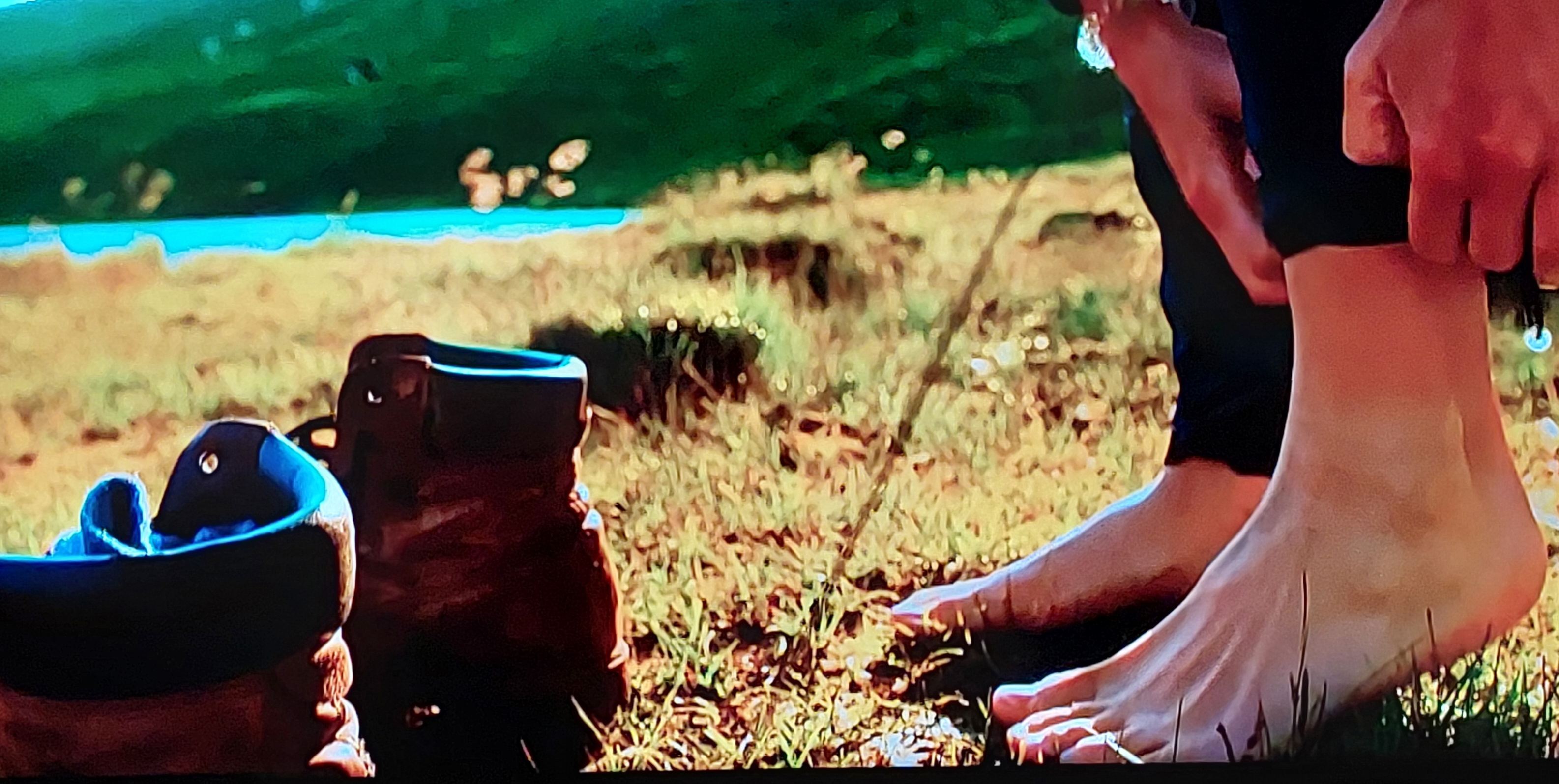 Hundehotel - Deutschland - Liebst du mit deinem 4-beiner die Natur, dann bist du im  GRAND APARTMENT ALLGAEU  absolut goldrichtig um euch frei und ausreichend zu bewegen ‼️ 
Alles für gelungene Urlaubstage bereit gerichtet von A - Z. versprochen ! - GRAND APARTMENT ALLGAEU . max 12 Pers 130 qm Ferienhaus FeWo Kinder Hunde 800 qm Garten eingezaeunt