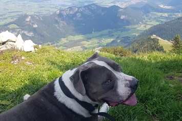 Urlaub-mit-Hund: GRAND APARTMENT ALLGAEU