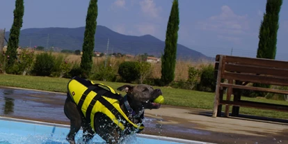 Hundehotel - WLAN - Toskana - Fattoria Maremmana
