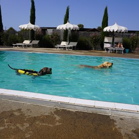 Urlaub-mit-Hund: Fattoria Maremmana