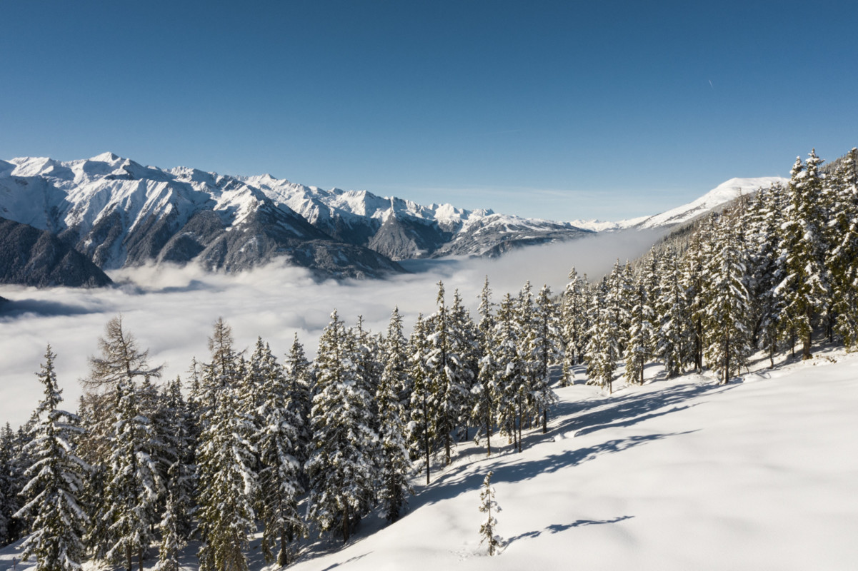 Urlaub-mit-Hund: Das Wildkogel | Wildkogel Resorts