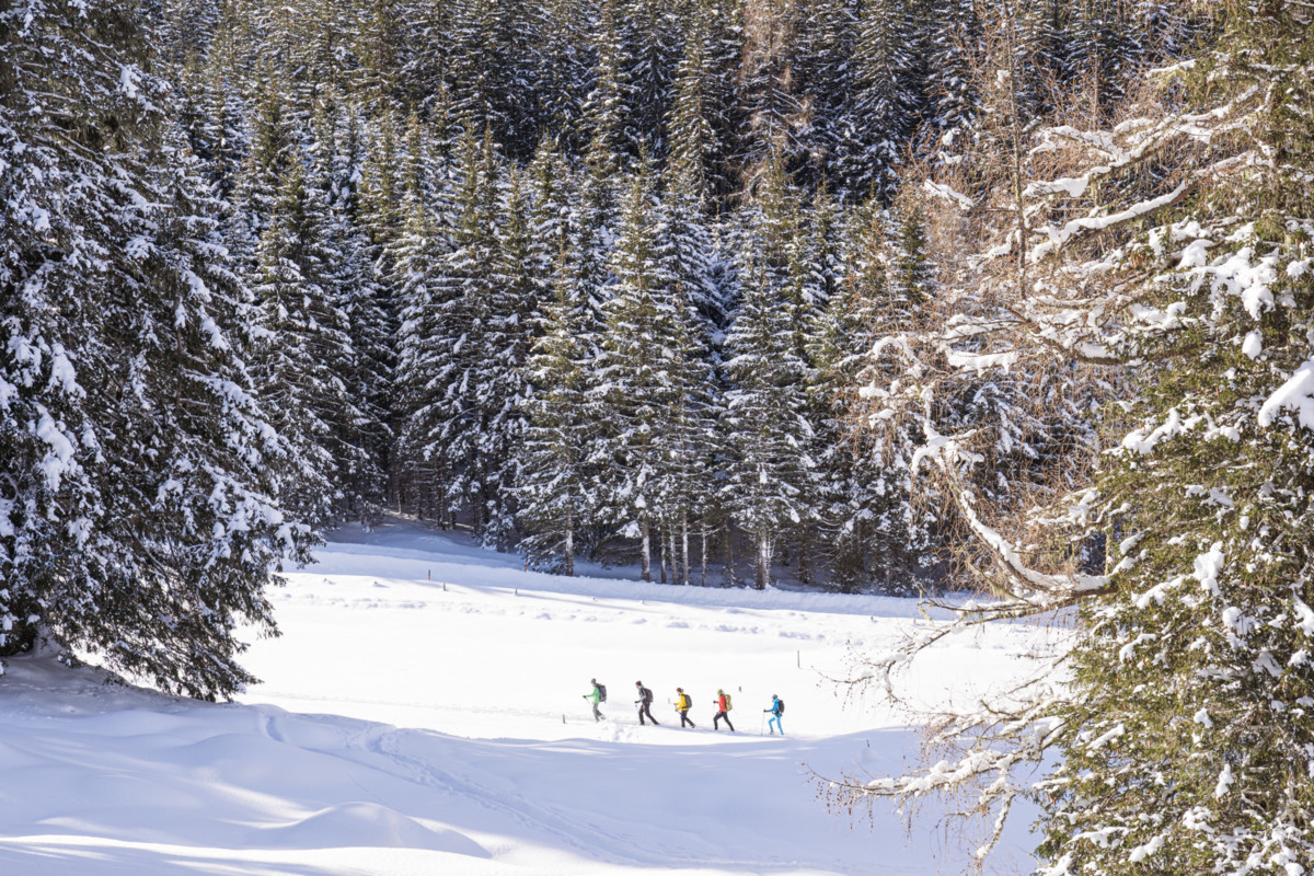 Urlaub-mit-Hund: Das Wildkogel | Wildkogel Resorts