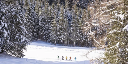 Hundehotel - Mariastein (Mariastein) - Das Wildkogel | Wildkogel Resorts