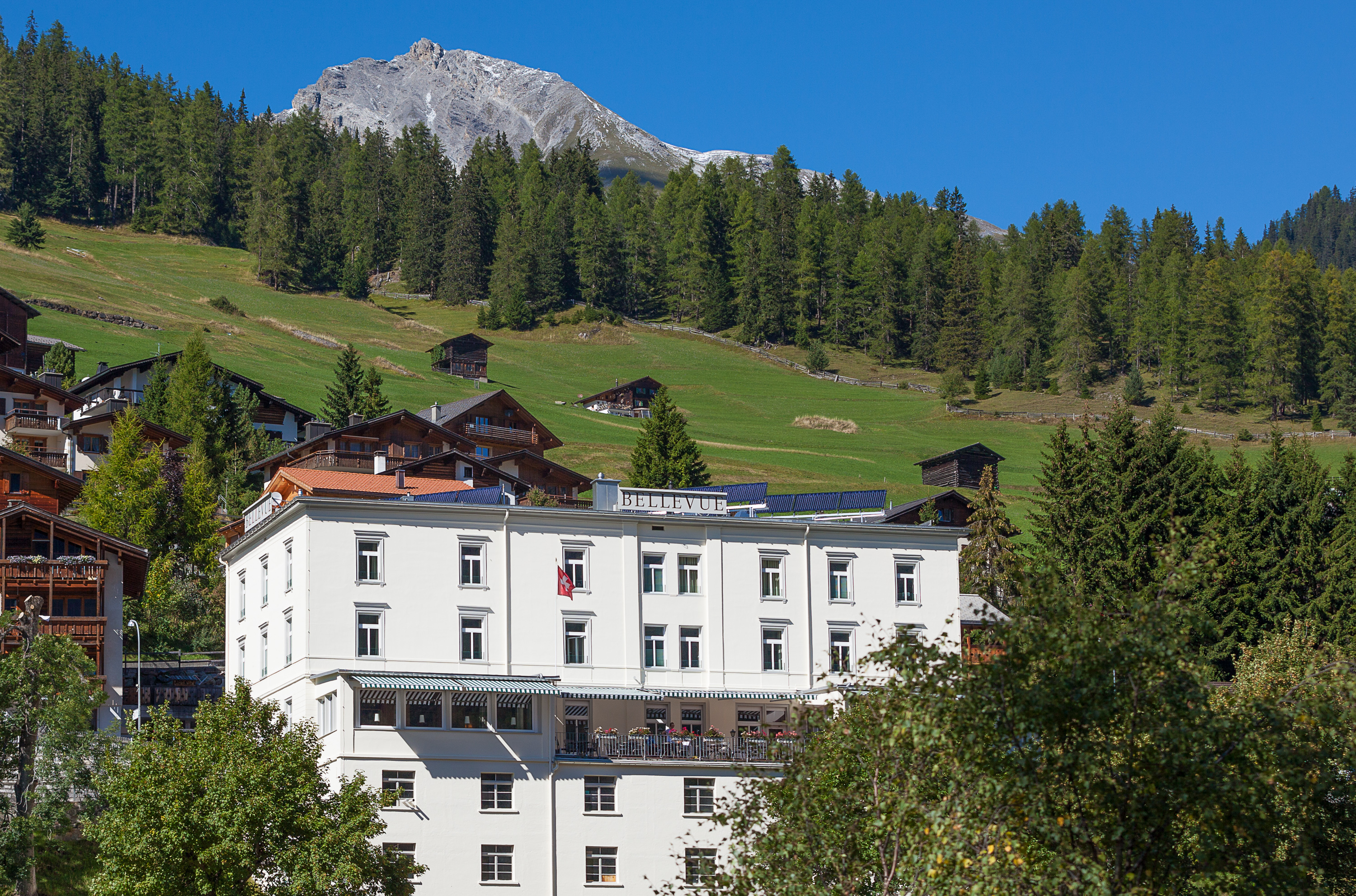 Hundehotel - Graubünden - Boutique Hotel Bellevue Wiesen