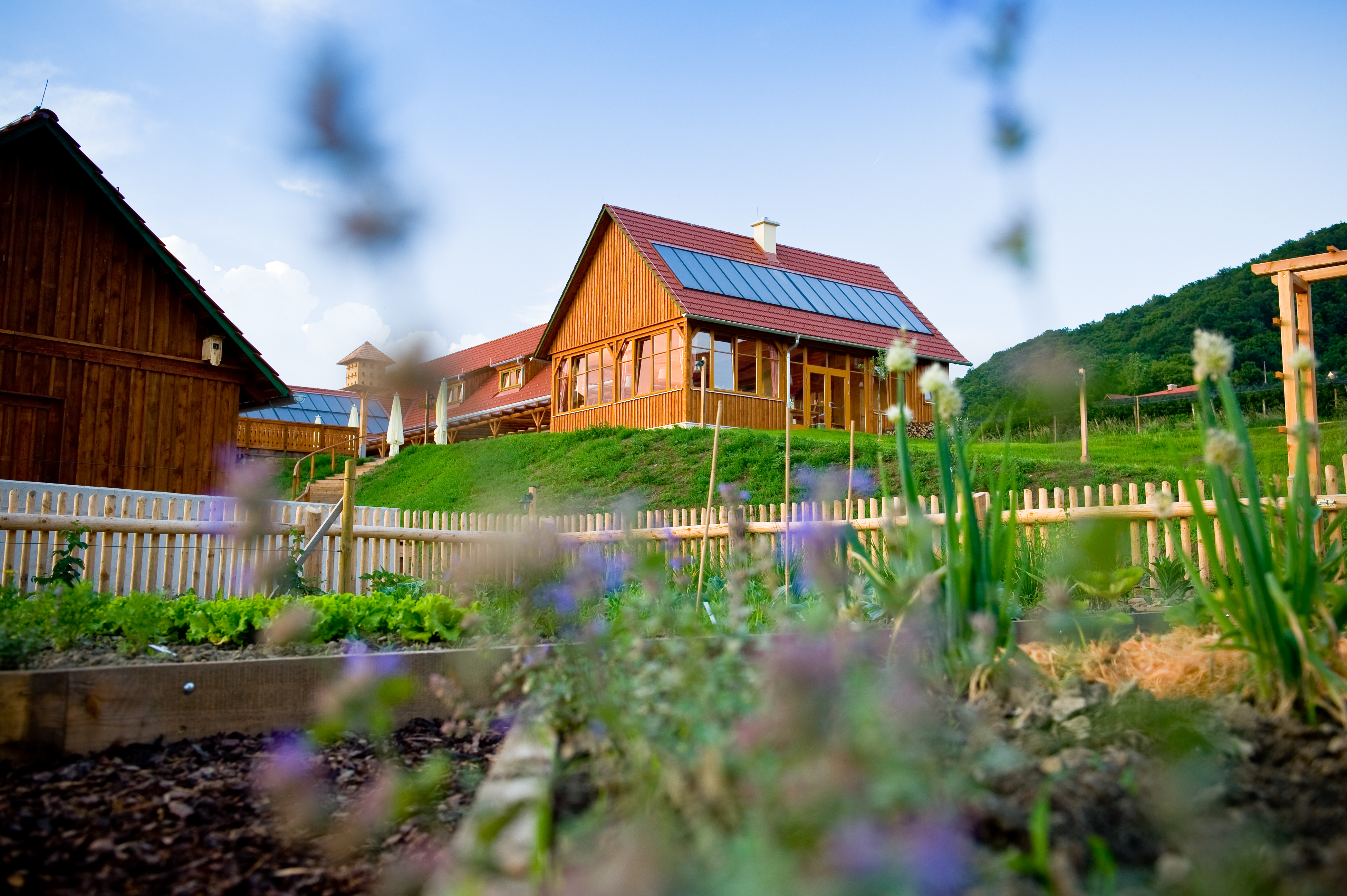 Hundehotel - PLZ 8271 (Österreich) - JUFA Hotel Tieschen – Bio-Landerlebnis***