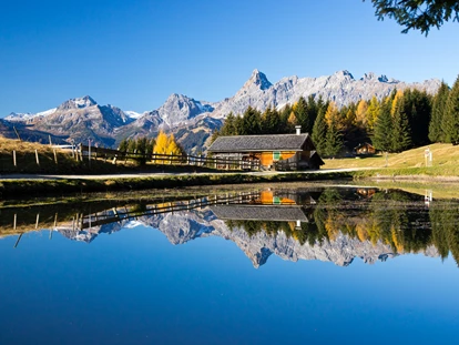 Hundehotel - Trink-/Fressnapf: an der Rezeption - Schruns - Montafon  - Relax und Vitalhotel Adler