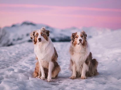 Hundehotel - Trink-/Fressnapf: an der Rezeption - Schruns - Relax und Vitalhotel Adler