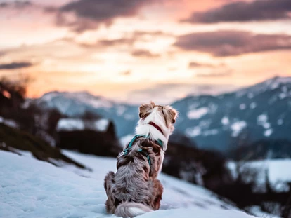Hundehotel - Trink-/Fressnapf: an der Rezeption - Schruns - Relax und Vitalhotel Adler