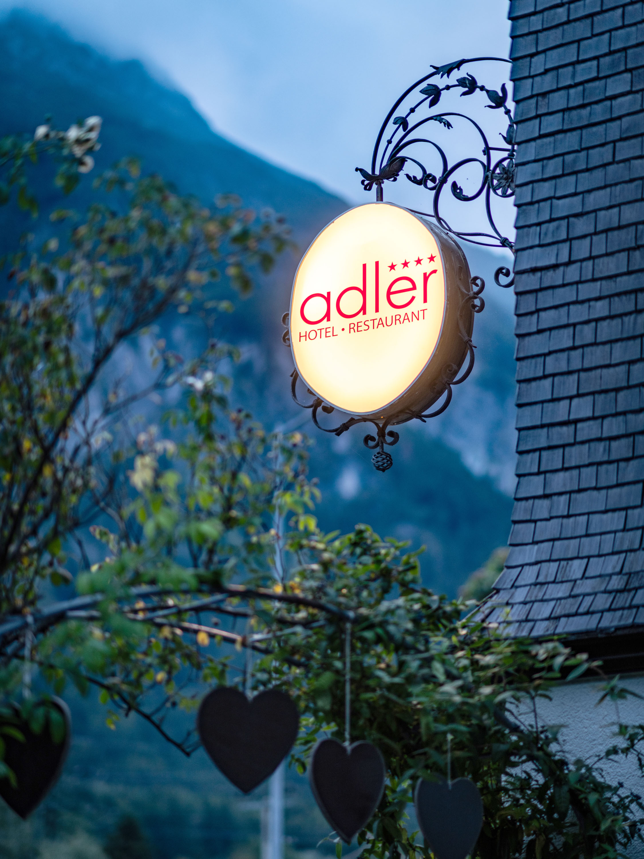 Urlaub-mit-Hund: Aussenansicht  - Relax und Vitalhotel Adler  - Haus | Umgebung