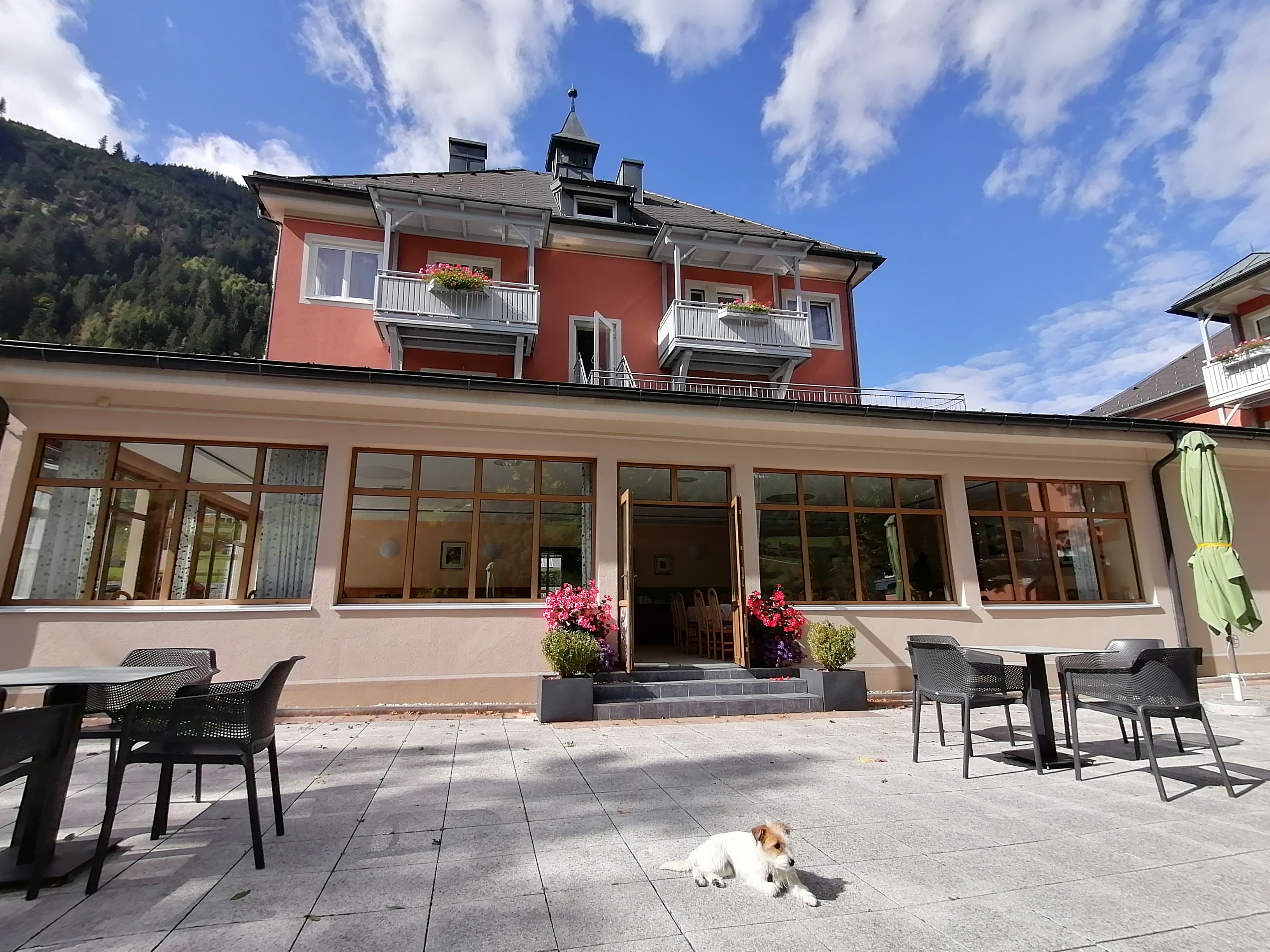 Hundehotel - Kärnten - Strandhotel Burgstaller