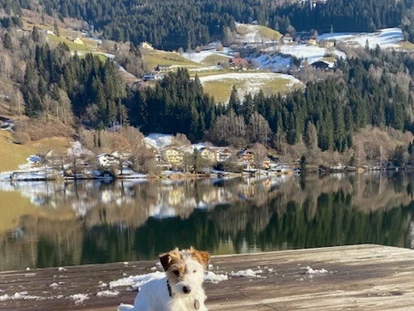 Hundehotel - Unterkunftsart: Hotel - Region Villach - Strandhotel Burgstaller