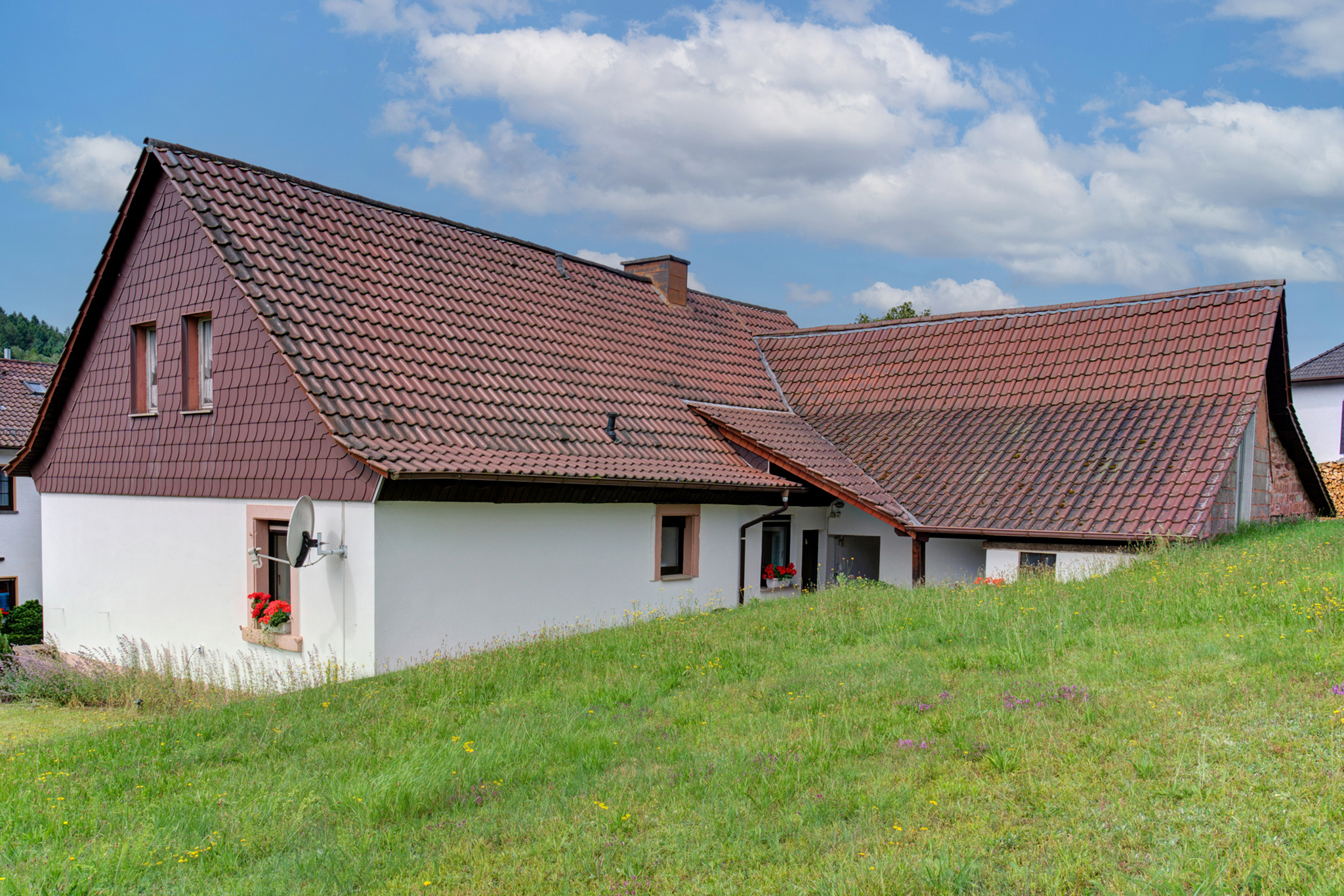 Ferienhaus mit Hund: Ferienhaus Storchenblick