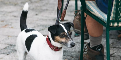 Hundehotel - Ladis - Hotel Aurora