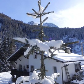 Ferienhaus mit Hund: Chalet Rustica Winter - Ferienwohnung "In da Brünst"