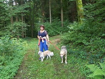 Landhaus FühlDichWohl- Boutique Hotel Ausflüge mit Hund Wandern mit Wuff