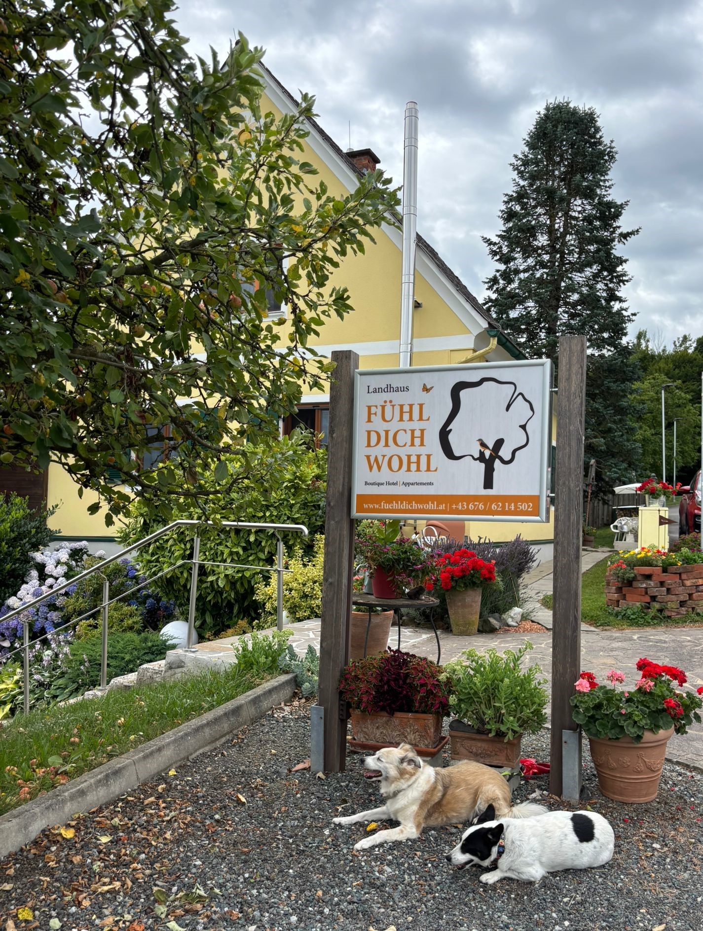 Urlaub-mit-Hund: Hunde Herzlich Willkommen! - FerienAPPARTEMENTS Landhaus FühlDichWohl - Urlaub mit Hund