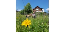 Hundehotel - PLZ 8490 (Österreich) - Wir lieben Tiere! Daher haben wir auch einen ehemaligen Bauernhof umgebaut und haben selbst noch jede Menge Tiere - Streichelzoo - Landhaus FühlDichWohl- Boutique Hotel