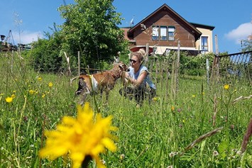 Urlaub-mit-Hund: Wir lieben Tiere! Daher haben wir auch einen ehemaligen Bauernhof umgebaut und haben selbst noch jede Menge Tiere - Streichelzoo - Landhaus FühlDichWohl- Boutique Hotel