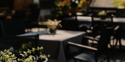 Hundehotel - Pools: Schwimmteich - Terrasse - Naturhotel Schütterbad