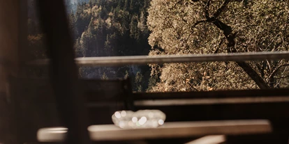 Hundehotel - Pools: Schwimmteich - Ausblick vom Balkon - Naturhotel Schütterbad