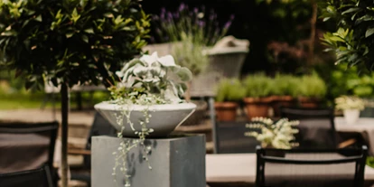 Hundehotel - Pools: Schwimmteich - Terrasse - Naturhotel Schütterbad