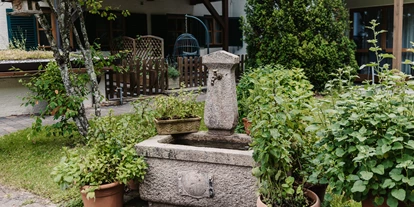 Hundehotel - Pools: Schwimmteich - Naturhotel Schütterbad