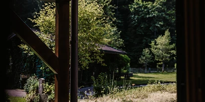 Hundehotel - Pools: Schwimmteich - Naturhotel Schütterbad