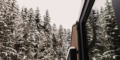 Hundehotel - Pools: Schwimmteich - Tiny house Wald&Wiese - Naturhotel Schütterbad