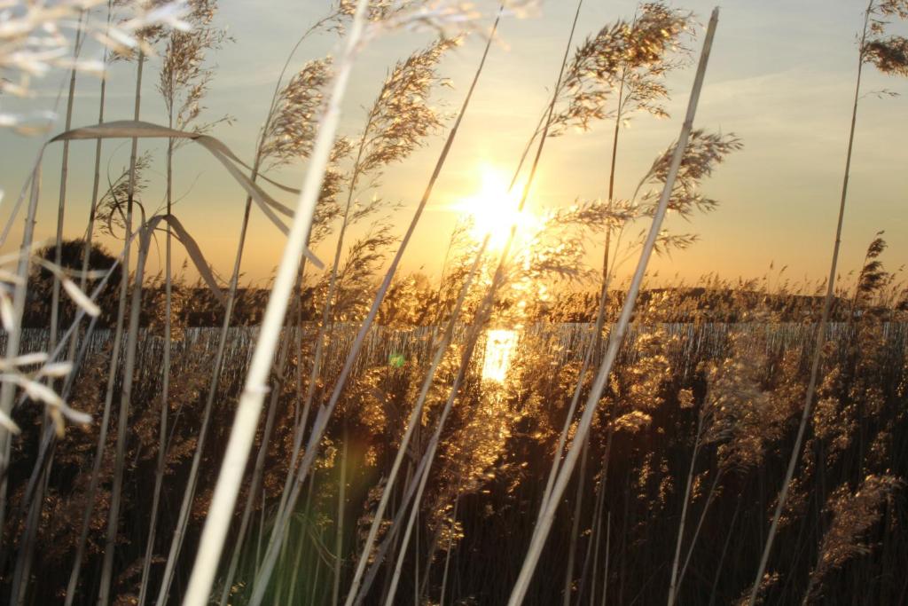 Hundehotel - Deutschland - Halbinsel Peenemünde