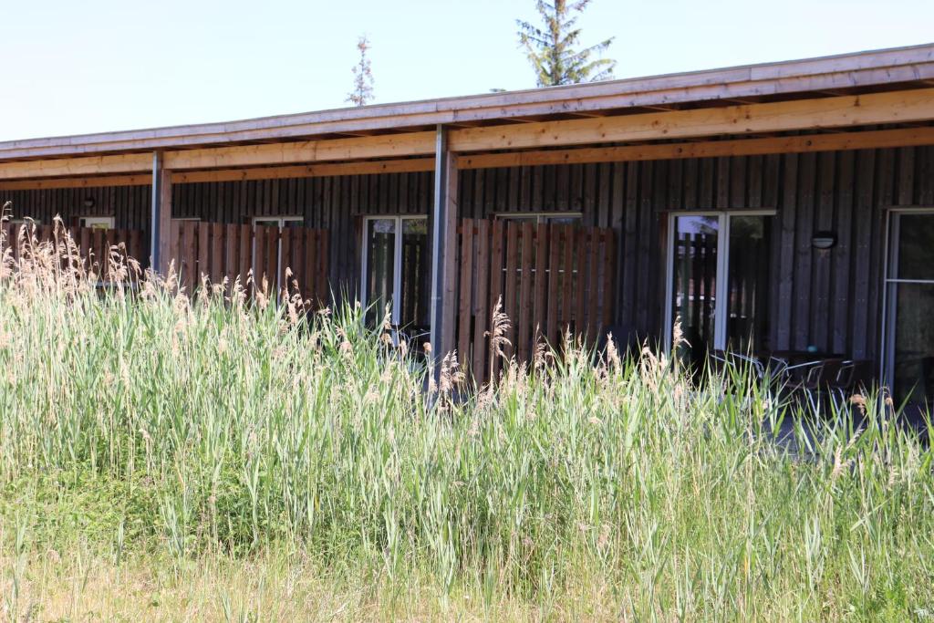 Urlaub-mit-Hund: Terassen Apartmenthotel - Halbinsel Peenemünde