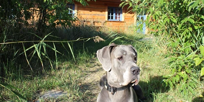 Hundehotel - Unterkunftsart: Appartement - Peenemünde - Halbinsel Peenemünde