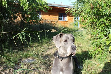 Urlaub-mit-Hund: Halbinsel Peenemünde