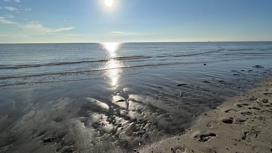 Urlaub-mit-Hund: Wattenmeer - NordseeResort Hotel&Suite Arche Noah