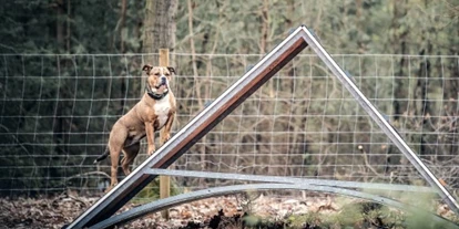 Hundehotel - Pools: Schwimmteich - 2 eingezäunte Ausläufe - einmal zur Einzelnutzung, einmal zur gemeinsamen Nutzung - Bernsteinsee Hotel & Ferien