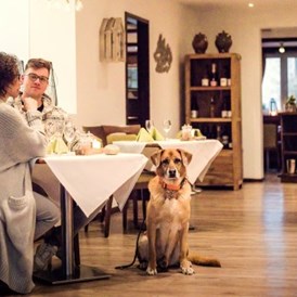 Urlaub-mit-Hund: Hundefreundliche Gastronomie:  - Bernsteinsee Hotel & Ferien