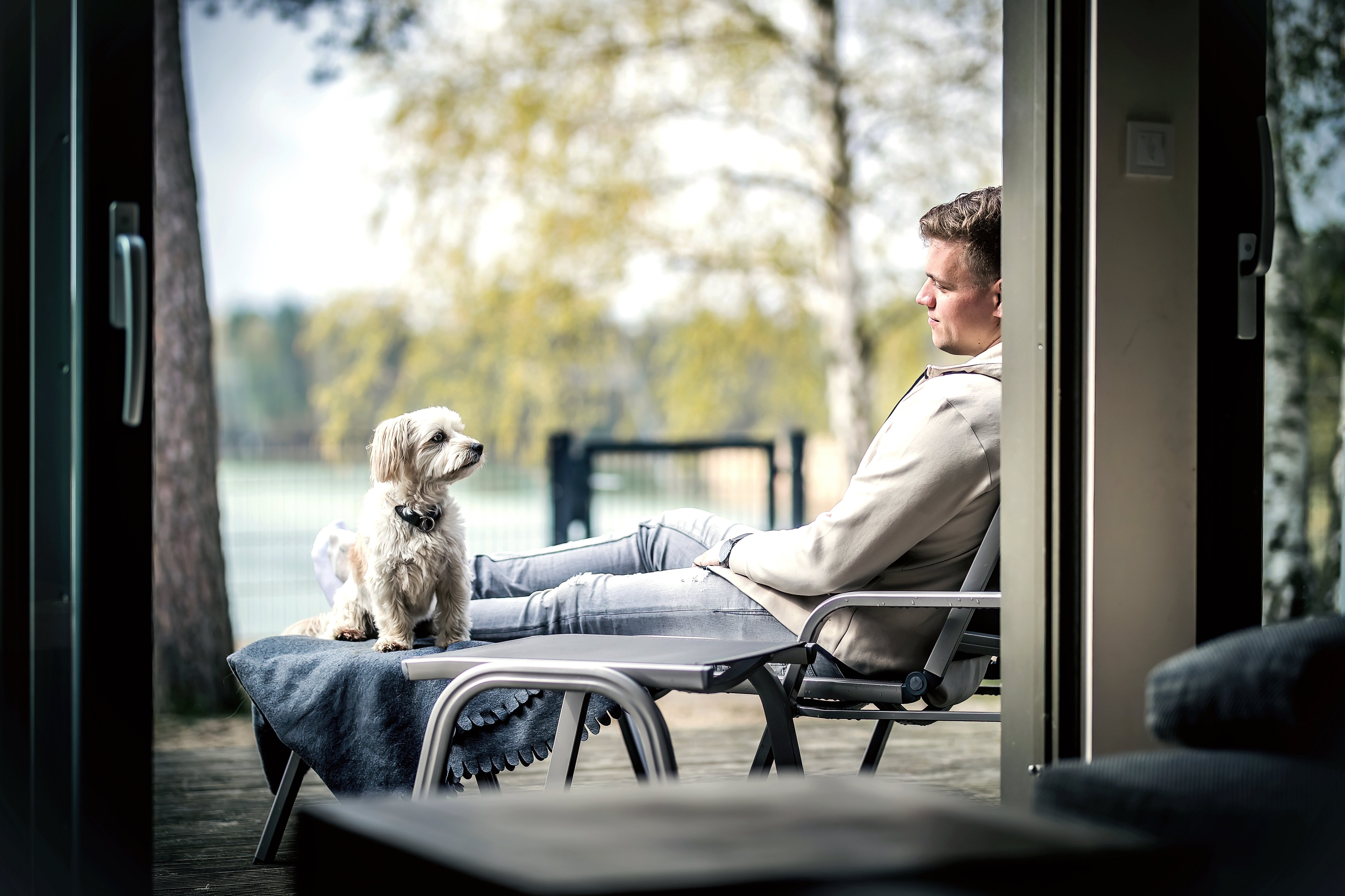 Hundehotel - Hundewiese: eingezäunt - Burgdorf (Region Hannover) - Strandhäuser direkt am See verfügbar - Bernsteinsee Hotel & Ferien