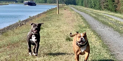 Hundehotel - Pools: Schwimmteich - Perfekt für Hund & Mensch: die fast endlosen Wege am Elbe-Seitenkanal - Bernsteinsee Hotel & Ferien