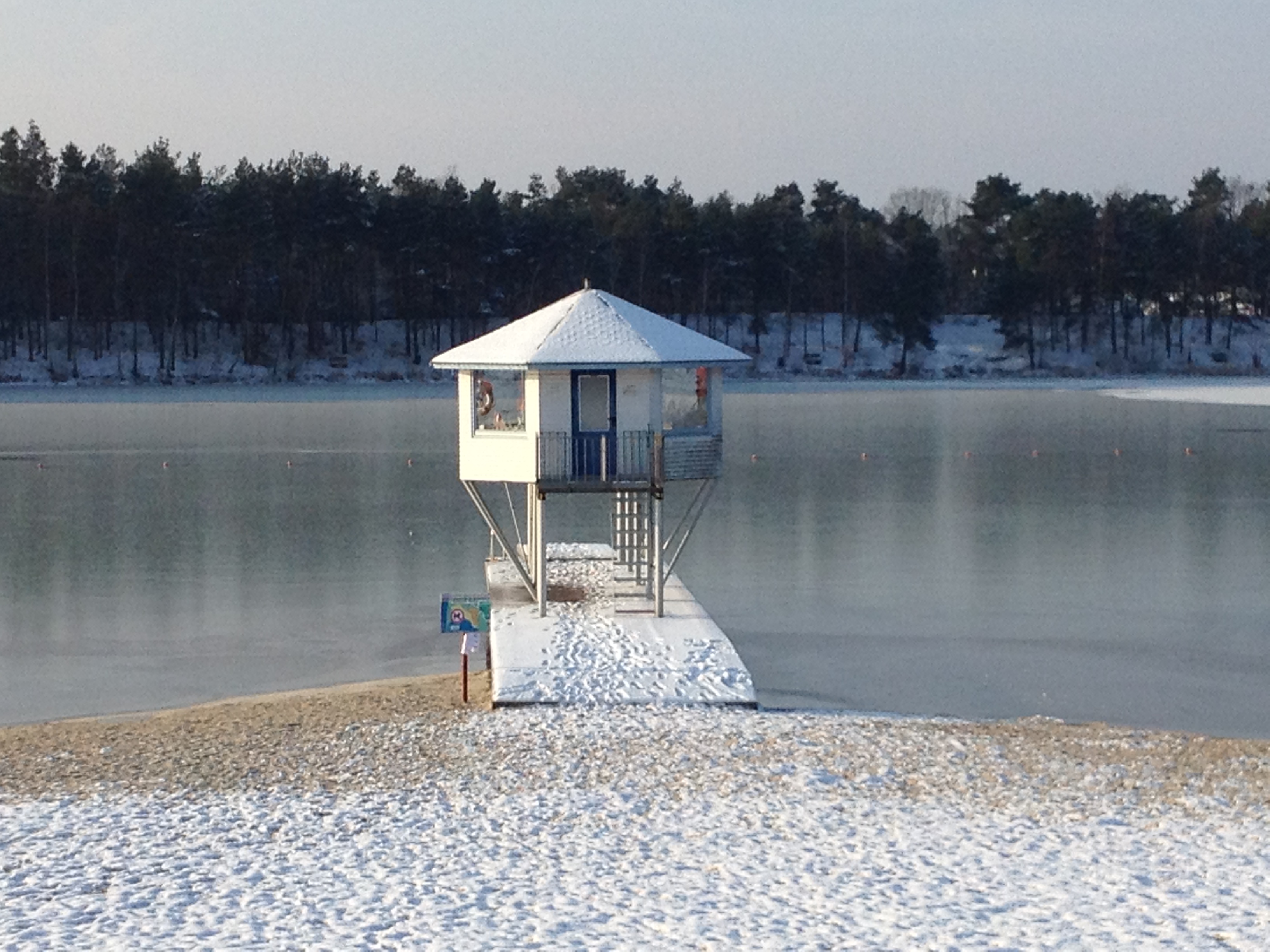 Urlaub-mit-Hund: Zu jeder Jahreszeit eine Reise wert - Bernsteinsee Hotel & Ferien - Haus | Umgebung