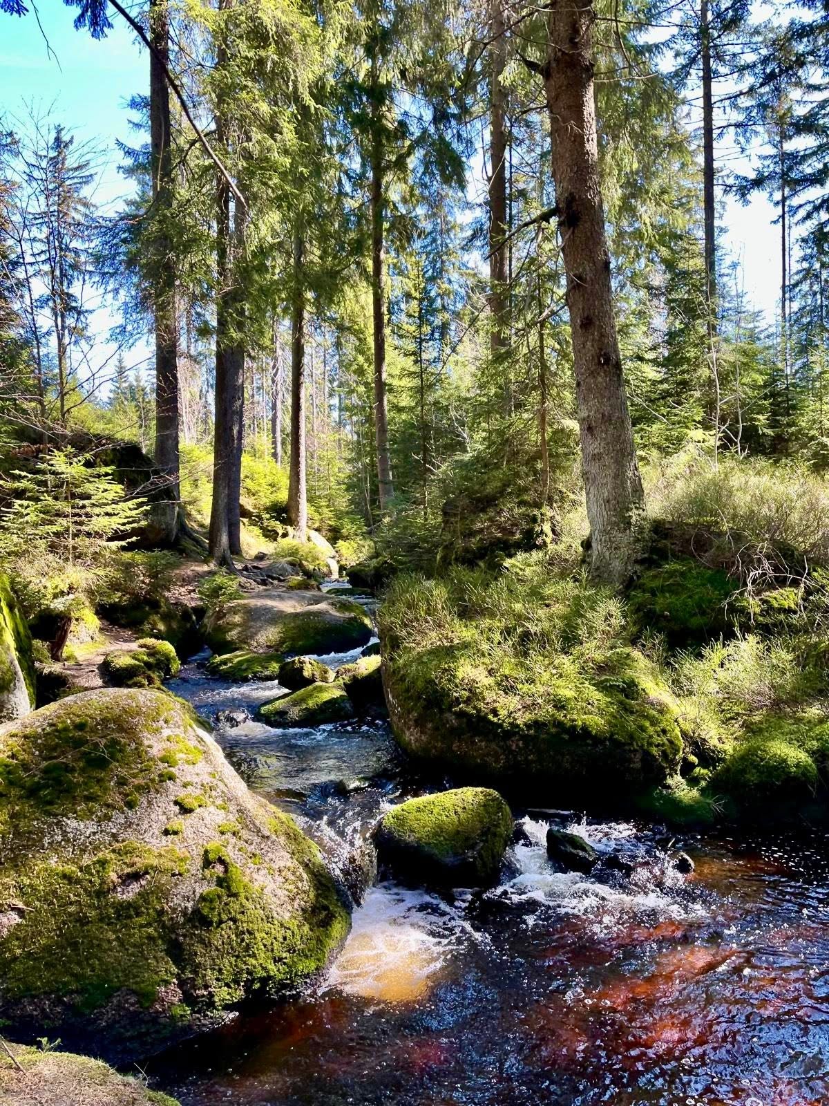 Das MUSSEA Landhaus Chalet, Scheunenloft & Genussgewölbe Ausflüge mit Hund Naturpfad Oberes Weißmaintal