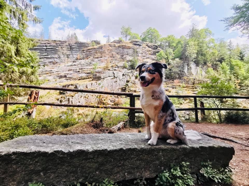 Das MUSSEA Landhaus Chalet, Scheunenloft & Genussgewölbe Ausflüge mit Hund Wandern am Epprechtstein