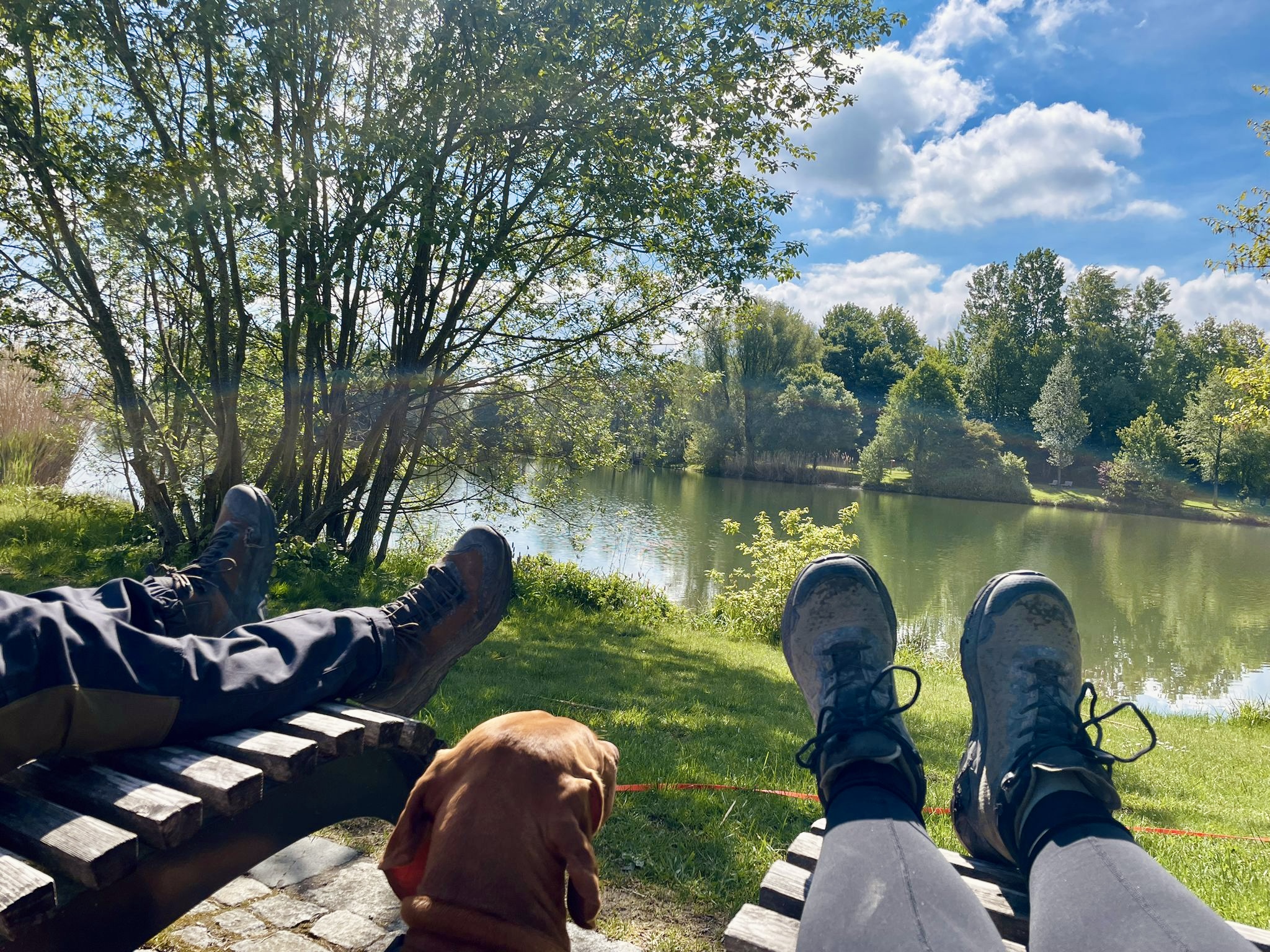 Das MUSSEA Landhaus Chalet, Scheunenloft & Genussgewölbe Ausflüge mit Hund Die Morgenrunde zum See "Hintere Höhe"