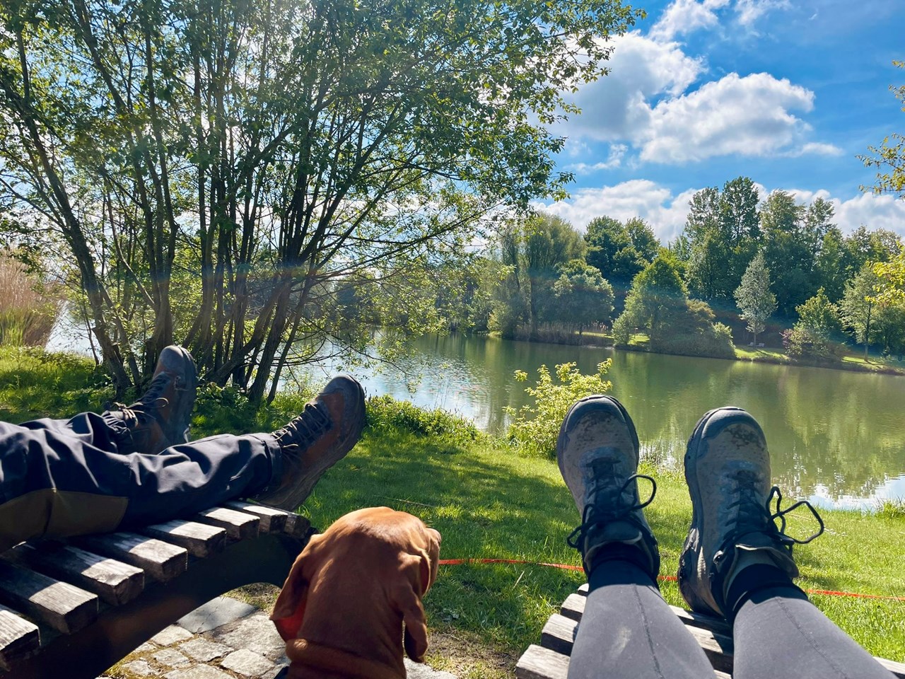 Das MUSSEA Landhaus Chalet, Scheunenloft & Genussgewölbe Ausflüge mit Hund Die Morgenrunde zum See "Hintere Höhe"
